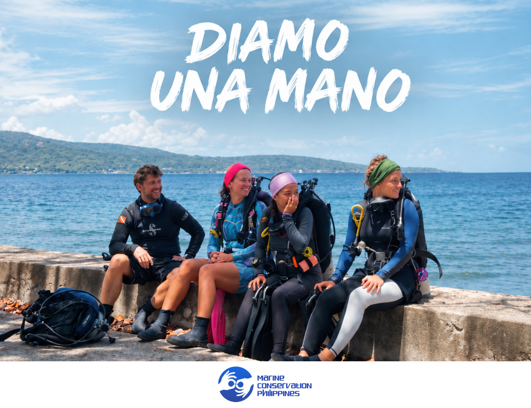 Collezione Salvaguardia