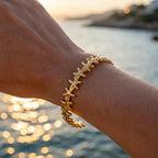 Asteria | Costellazione del Mare