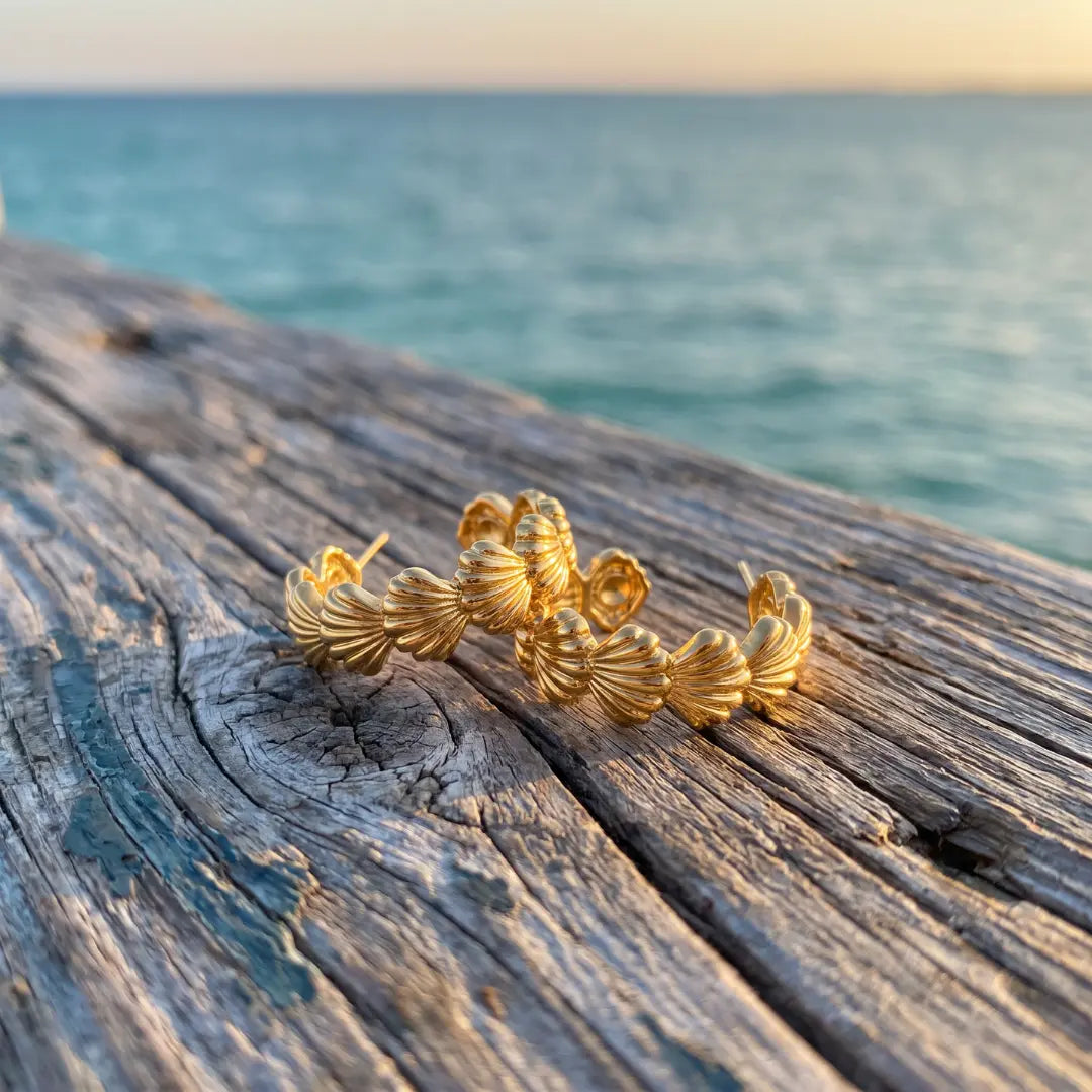 Lysora | Abbraccio delle Conchiglie