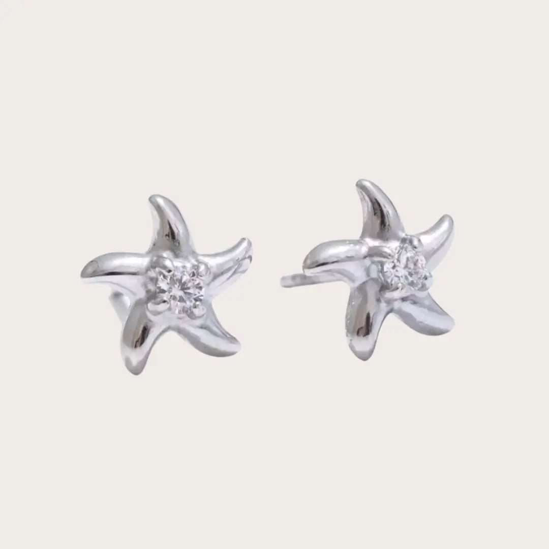 Asteryn | Luce della Stella Marina
