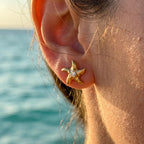 Asteryn | Luce della Stella Marina