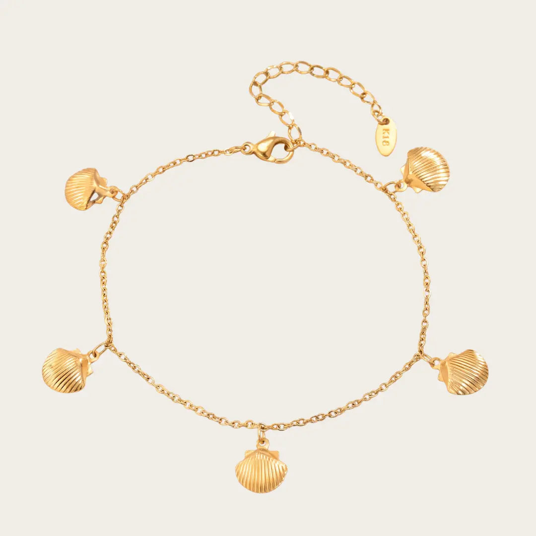 Pectyra | Conchiglie della Marea Dorata